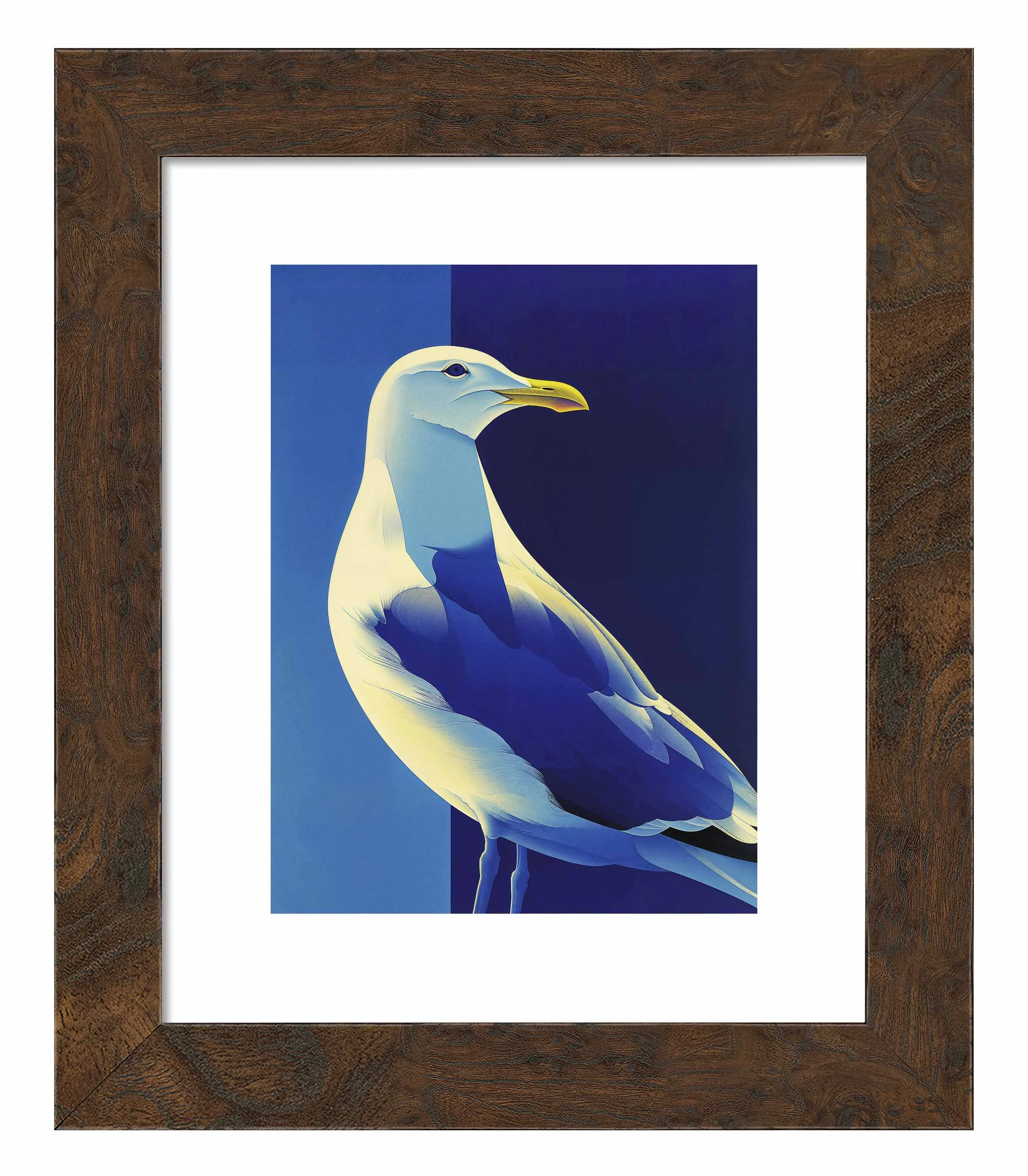 Luminous Sentinel - Seagull in Azure Light - Art Prints