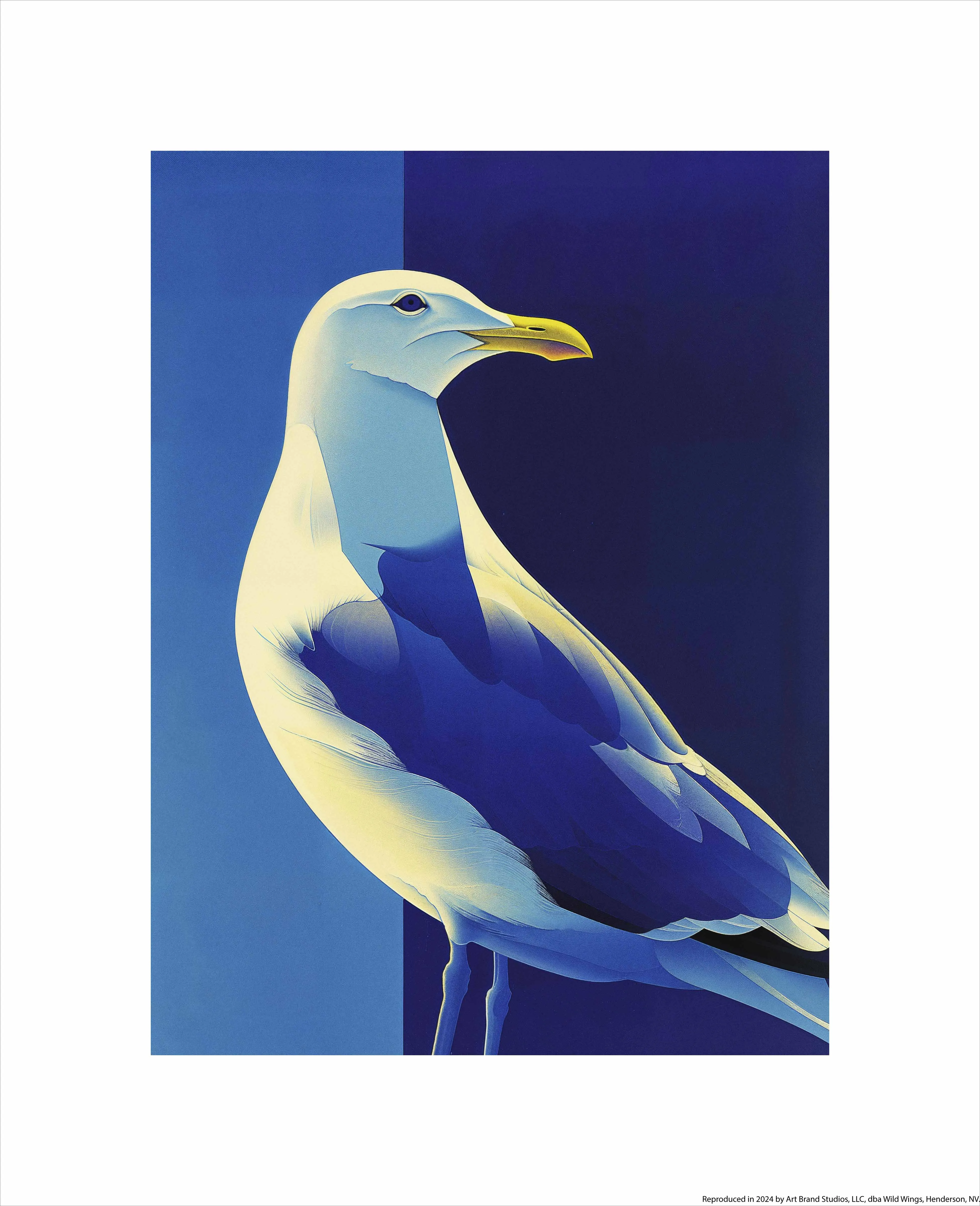 Luminous Sentinel - Seagull in Azure Light - Art Prints