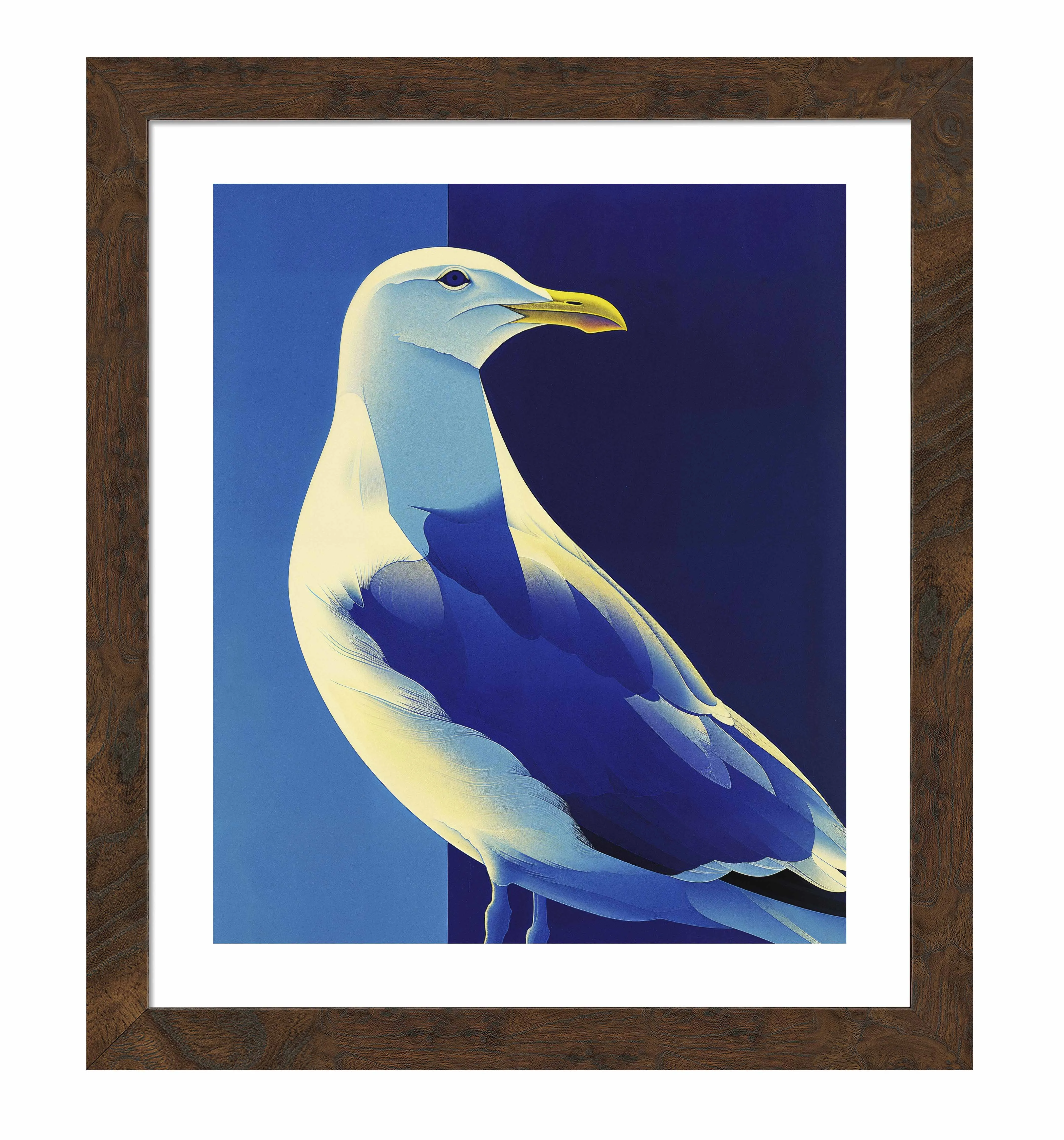 Luminous Sentinel - Seagull in Azure Light - Art Prints