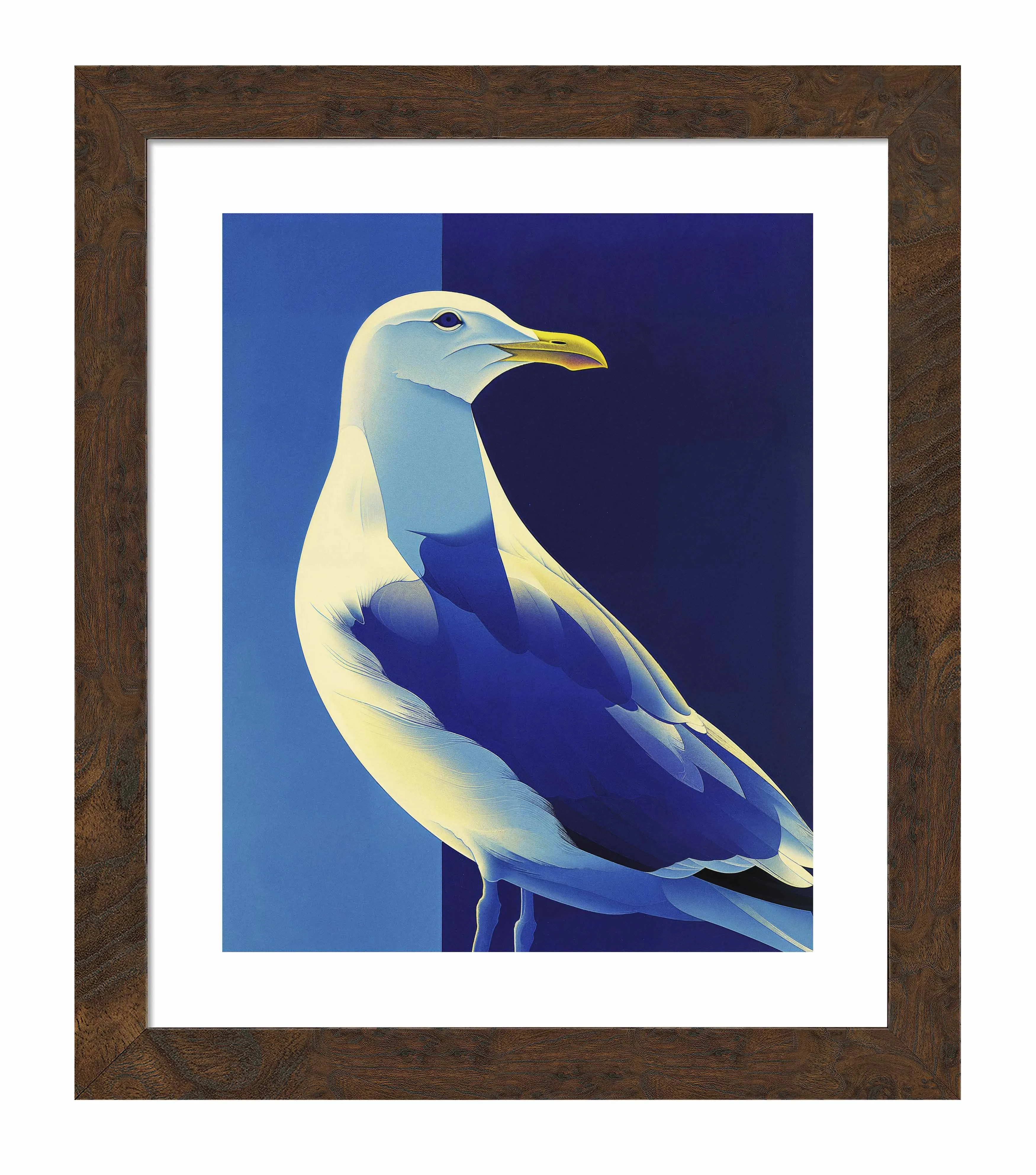 Luminous Sentinel - Seagull in Azure Light - Art Prints