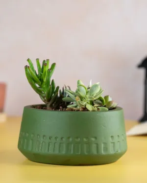 Olive Carved Terracotta Planter