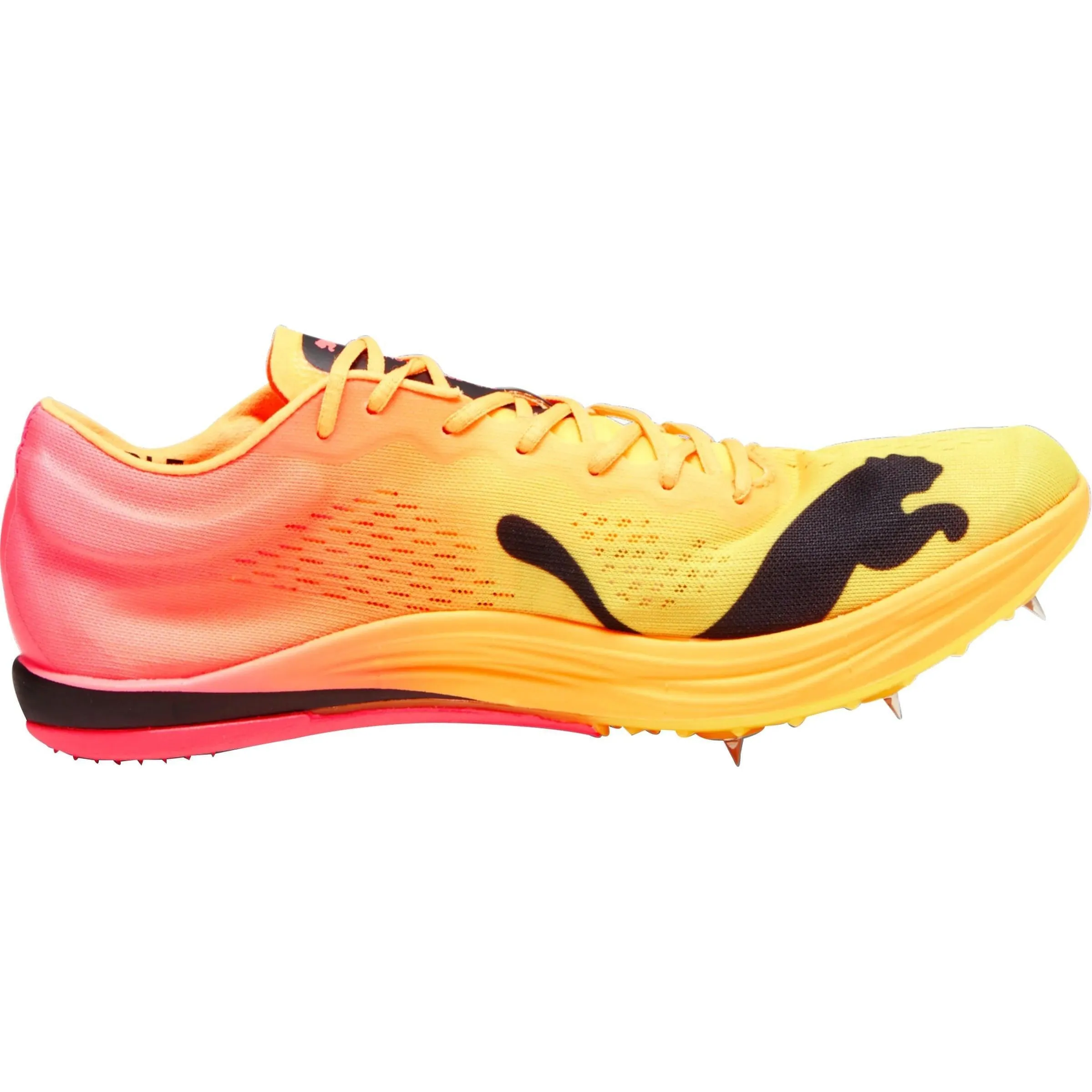 Puma evoSpeed Nitro Elite  Long Distance Running Spikes - Orange