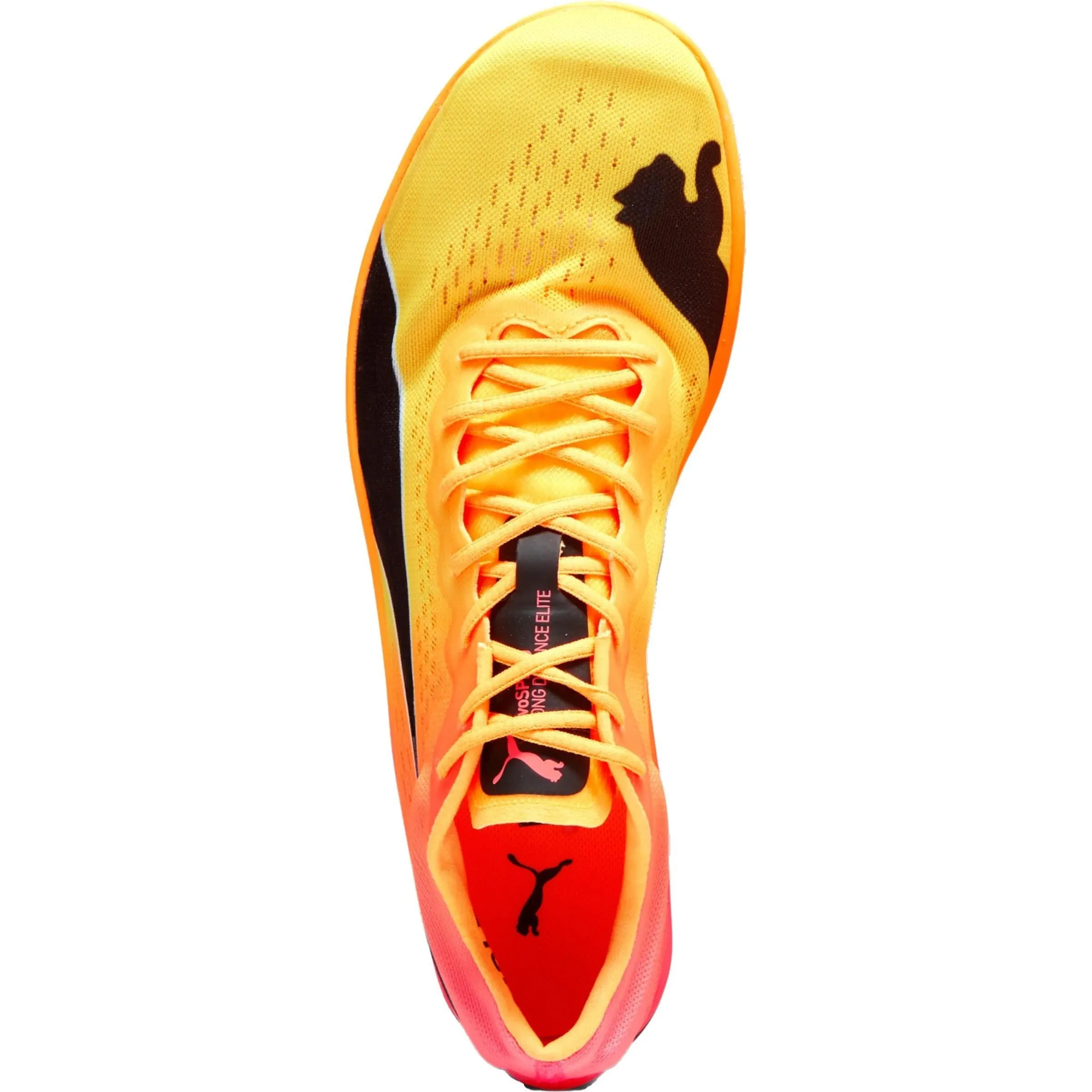 Puma evoSpeed Nitro Elite  Long Distance Running Spikes - Orange
