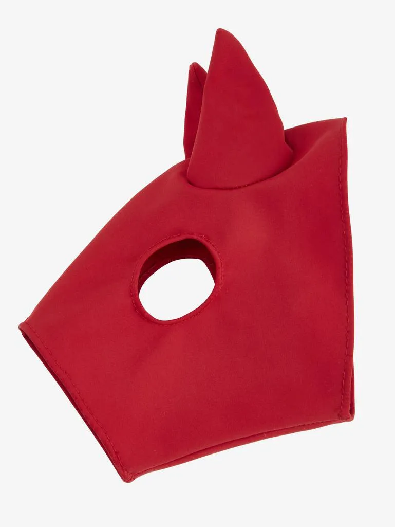 Toy Pony Racing Cloth & Mask